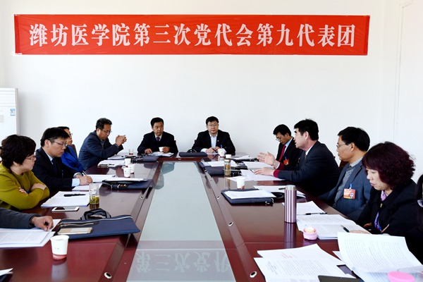 第九代表团